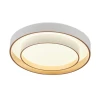 Потолочный светодиодный светильник MyFar Ceiling Rhea MR9161-CL Потолочный светодиодный светильник MyFar Ceiling Rhea MR9161-CL