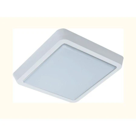 Накладной светильник LEEK LE061200-161