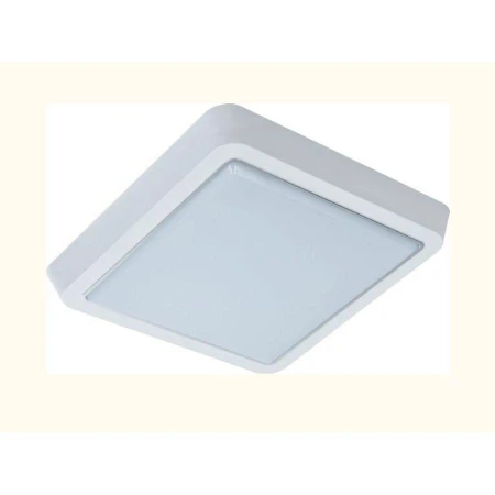 Накладной светильник LEEK LE061200-162