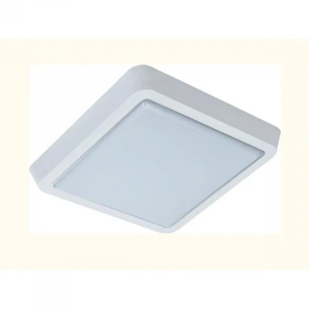 Накладной светильник LEEK LE061200-163