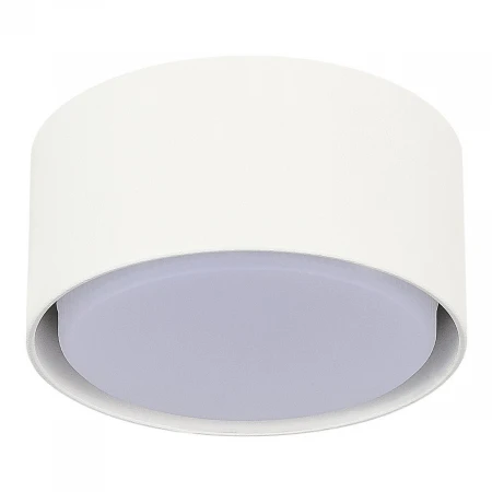 Потолочный светильник ST Luce ST164.502.01