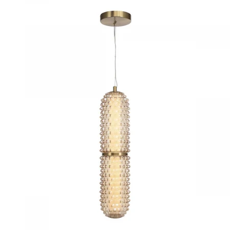 Подвесной светильник ST Luce SAGUARO SL6144.303.01