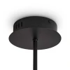 Подвесной светильник Freya Modern FR5557PL-L32B Подвесной светильник Freya Modern FR5557PL-L32B