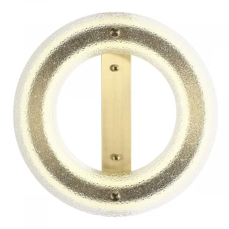 Потолочный светильник ST Luce FAGY SL6245.202.01