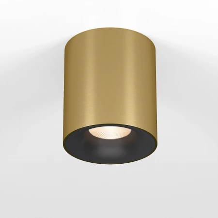 Потолочный светодиодный светильник Elektrostandard Primo 25116/LED a069413