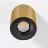 Потолочный светодиодный светильник Elektrostandard Primo 25116/LED a069413
