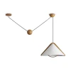 Потолочный светильник Freya Modern FR5554CL-01T