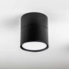 Светильник накладной Lightstar Acuto 215887