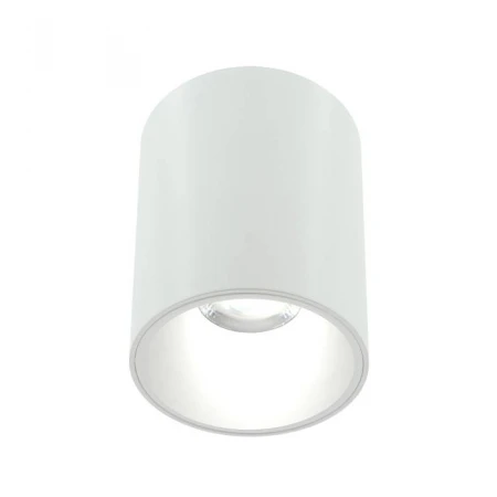 Накладной светильник Lightera Shamrock LE201CL-1WB