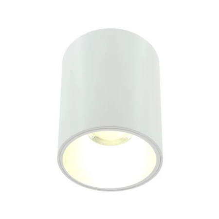 Накладной светильник Lightera Shamrock LE201CL-1WA