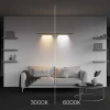 Светильник Maytoni Technical C101CL-L500-12W3-6K-BS Светильник Maytoni Technical C101CL-L500-12W3-6K-BS