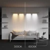 Светильник Maytoni Technical C101CL-L1000-24W3-6K-BS Светильник Maytoni Technical C101CL-L1000-24W3-6K-BS