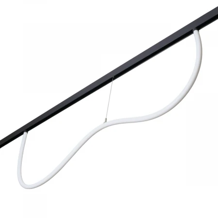 Трековый светодиодный светильник MyFar Neon MT0224-40W3K-S-B