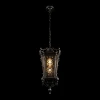 Уличный подвесной светильник Loft IT Tremezzo 100019P BS