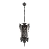 Уличный подвесной светильник Loft IT Tremezzo 100019P BS