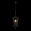 Уличный подвесной светильник Loft IT Tremezzo 100019P BS