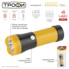 Ручной светодиодный фонарь ЭРА Трофи от батареек 125х43 30 лм TB4L Б0025679 Ручной светодиодный фонарь ЭРА Трофи от батареек 125х43 30 лм TB4L Б0025679