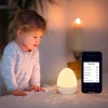 Настольный светодиодный ночник NiteBird LB2 Настольный светодиодный ночник NiteBird LB2