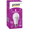 Лампа светодиодная Lucem E27 12W 6500K матовая FLEBL122765L