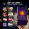Лампа светодиодная диммируемая NiteBird Smart Bulb E26 9W 2700K-6500K WB4