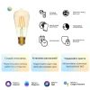 Лампа светодиодная диммируемая филаментная Gauss Smart Home Filament E27 6,5W 2000-5500K золотистая 1310112 Лампа светодиодная диммируемая филаментная Gauss Smart Home Filament E27 6,5W 2000-5500K золотистая 1310112