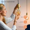 Лампа светодиодная диммируемая филаментная Gauss Smart Home Filament E27 6,5W 2000-6500K прозрачная 1220112 Лампа светодиодная диммируемая филаментная Gauss Smart Home Filament E27 6,5W 2000-6500K прозрачная 1220112