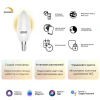 Лампа светодиодная диммируемая Gauss Smart Home E14 5W 2700K матовая 1100112 Лампа светодиодная диммируемая Gauss Smart Home E14 5W 2700K матовая 1100112