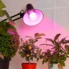 Лампа светодиодная для растений ЭРА E27 12W 1310K прозрачная Fito-12W-RB-E27 Б0050601 Лампа светодиодная для растений ЭРА E27 12W 1310K прозрачная Fito-12W-RB-E27 Б0050601