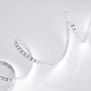 Светодиодная лента Arlight 9,6W/m 120LED/m 2835SMD холодный белый 5M 010347(2)