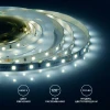 Светодиодная лента Apeyron 4,8W/m 60LED/m 3528SMD холодный белый 5M 00-02 Светодиодная лента Apeyron 4,8W/m 60LED/m 3528SMD холодный белый 5M 00-02