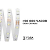Светодиодная лента Apeyron 4,8W/m 60LED/m 3528SMD холодный белый 5M 00-02 Светодиодная лента Apeyron 4,8W/m 60LED/m 3528SMD холодный белый 5M 00-02