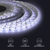 Светодиодная влагозащищенная лента Apeyron 14,4W/m 60LED/m 5050SMD холодный белый 5M 00-10 Светодиодная влагозащищенная лента Apeyron 14,4W/m 60LED/m 5050SMD холодный белый 5M 00-10