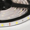 Светодиодная лента Arlight 7,2W/m 30LED/m 5060SMD холодный белый 5M 016890 Светодиодная лента Arlight 7,2W/m 30LED/m 5060SMD холодный белый 5M 016890