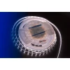 Светодиодная влагозащищенная лента DesignLed 14,4W/m 60LED/m 5050SMD нейтральный белый 5M 002118 Светодиодная влагозащищенная лента DesignLed 14,4W/m 60LED/m 5050SMD нейтральный белый 5M 002118