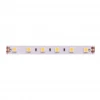 Светодиодная влагозащищенная лента DesignLed 14,4W/m 60LED/m 5050SMD нейтральный белый 5M 002118 Светодиодная влагозащищенная лента DesignLed 14,4W/m 60LED/m 5050SMD нейтральный белый 5M 002118