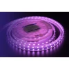 Светодиодная влагозащищенная лента DesignLed 14,4W/m 60LED/m 5050SMD разноцветный 5M 001489 Светодиодная влагозащищенная лента DesignLed 14,4W/m 60LED/m 5050SMD разноцветный 5M 001489