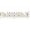 Светодиодная влагозащищенная лента DesignLed 28,8W/m 120LED/m 5050SMD теплый/холодный белый 5M 000515 Светодиодная влагозащищенная лента DesignLed 28,8W/m 120LED/m 5050SMD теплый/холодный белый 5M 000515