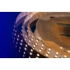 Светодиодная влагозащищенная лента DesignLed 28,8W/m 120LED/m 5050SMD теплый/холодный белый 5M 000515 Светодиодная влагозащищенная лента DesignLed 28,8W/m 120LED/m 5050SMD теплый/холодный белый 5M 000515