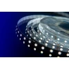 Светодиодная влагозащищенная лента DesignLed 14,4W/m 60LED/m 5050SMD холодный белый 5M 000520 Светодиодная влагозащищенная лента DesignLed 14,4W/m 60LED/m 5050SMD холодный белый 5M 000520
