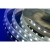 Светодиодная влагозащищенная лента DesignLed 14,4W/m 60LED/m 5050SMD холодный белый 5M 000518 Светодиодная влагозащищенная лента DesignLed 14,4W/m 60LED/m 5050SMD холодный белый 5M 000518