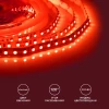 Светодиодная лента Apeyron 9,6W/m 120LED/m 3528SMD красный 5M 00-13 Светодиодная лента Apeyron 9,6W/m 120LED/m 3528SMD красный 5M 00-13