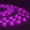 Светодиодная влагозащищенная лента Apeyron 7,2W/m 30LED/m 5050SMD разноцветная 5M 00-41