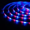 Светодиодная влагозащищенная лента Elektrostandard 4,8W/m 60LED/m 2835SMD RGB 5M a050579 Светодиодная влагозащищенная лента Elektrostandard 4,8W/m 60LED/m 2835SMD RGB 5M a050579