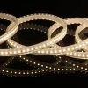 Светодиодная влагозащищенная лента Elektrostandard 8W/m 60LED/m 2835SMD дневной белый 50M a053637
