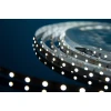 Светодиодная влагозащищенная лента DesignLed 4,8W/m 60LED/m 3528SMD холодный белый 5M 000524 Светодиодная влагозащищенная лента DesignLed 4,8W/m 60LED/m 3528SMD холодный белый 5M 000524