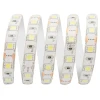Светодиодная влагозащищенная лента Apeyron 14,4W/m 60LED/m 5050SMD холодный белый 5M 10BL Светодиодная влагозащищенная лента Apeyron 14,4W/m 60LED/m 5050SMD холодный белый 5M 10BL