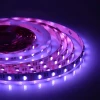 Светодиодная лента Apeyron 14,4W/m 60LED/m 5050SMD разноцветная/холодный белый 5M 00-109 Светодиодная лента Apeyron 14,4W/m 60LED/m 5050SMD разноцветная/холодный белый 5M 00-109