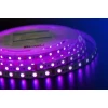 Светодиодная влагозащищенная лента DesignLed 14,4W/m 60LED/m 5050SMD разноцветный 5M 000603 Светодиодная влагозащищенная лента DesignLed 14,4W/m 60LED/m 5050SMD разноцветный 5M 000603