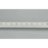 Светодиодная лента Arlight 9,6W/m 120LED/m 2216SMD холодный белый 5M 024410(2)