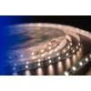 Светодиодная влагозащищенная лента DesignLed 7,2W/m 60LED/m 2835SMD теплый белый 5M 001492 Светодиодная влагозащищенная лента DesignLed 7,2W/m 60LED/m 2835SMD теплый белый 5M 001492